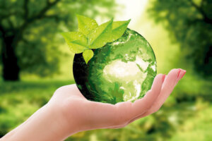 Seus Direitos: Estratégias para a conservação da biodiversidade