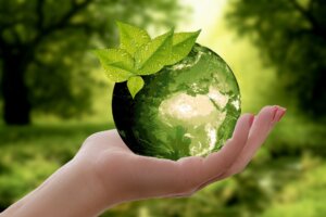 Seus Direitos: Dia Mundial do Meio Ambiente