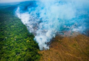 Nosso Planeta: Incêndios florestais e aumento nas prescrições de psicotrópicos
