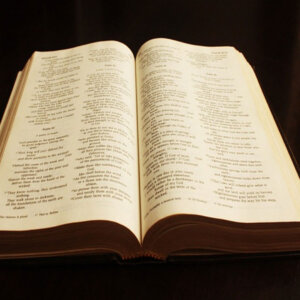 A Bíblia Como Ela É: Benjamin, o filho da dor que se tornou força