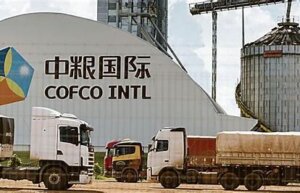 Negócio da China: Empresas agrícolas chinesas garantirão segurança de grãos por meio da atualização