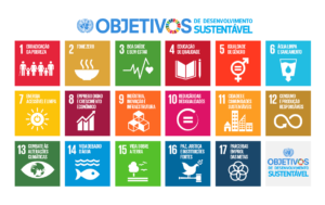 Seus Direitos: Os 17 objetivos para o desenvolvimento sustentável – ONU (parte 1)