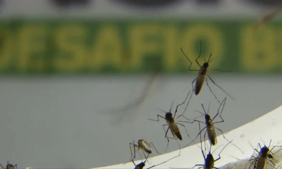 Dengue - Fonte Agência Brasil