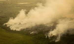 FAB faz quatro voos hoje para o Pantanal para combate às queimadas