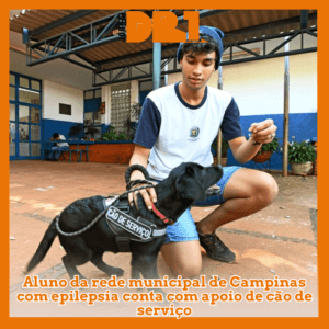 Aluno da rede municipal de Campinas com epilepsia conta com apoio de cão de serviço