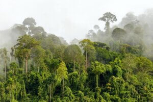 Soluções climáticas locais na contenção dos perigos ambientais no Rio de Janeiro