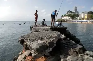 Ars Gratia Artis: Um dia de pesca no Píer da Barra