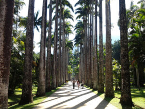 Jardim Botânico: exuberância e importância histórica
