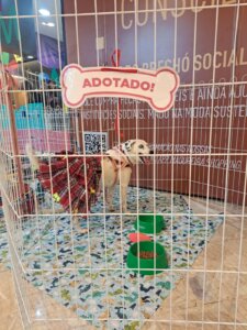 Adoção responsável: Madureira Shopping realiza campanha pet neste sábado