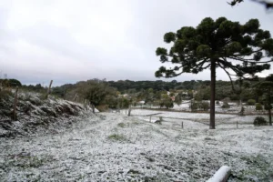 Neve e chuva congelada surpreendem a Serra Gaúcha com temperaturas próximas de 0°C