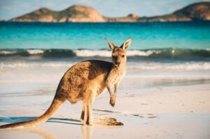 Austrália conquista espaço entre as cidades mais habitáveis do mundo