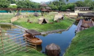 Zoológico do Rio fecha novamente após morte de mais aves por gripe aviária