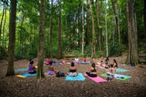 Parque Nacional da Tijuca comemora 64 anos com fim de semana recheado de atividades gratuitas
