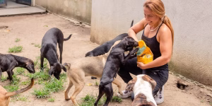 ONG Indefesos: resgate, cuidado e esperança para animais abandonados