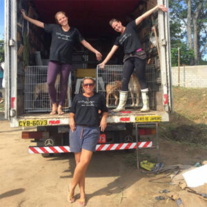 Paraíso dos Focinhos: abrigo e voz para os que não têm vez