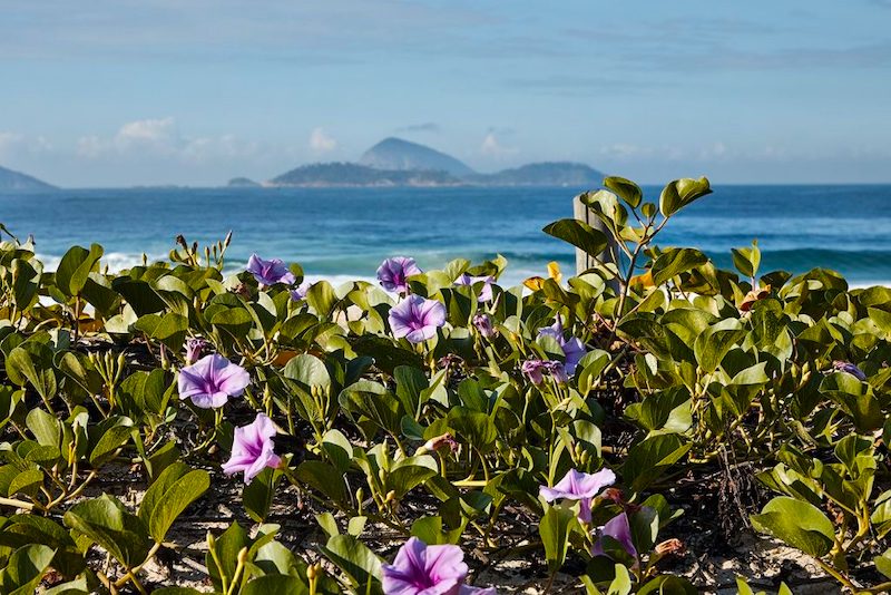 Mat 02 divulgação Mat 02 divulgação