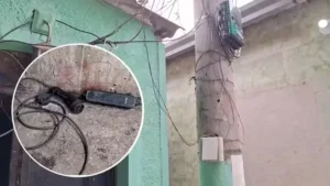 Roubo de carros elétricos no Rio cresce e tráfico usa ‘gato’ para recarga