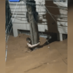 Mulher resiste por mais de 3 horas agarrada a poste durante enxurrada em Minas Gerais e emociona o país