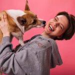 Mercado Pet cresce no Brasil e já movimenta 70 bilhões por ano