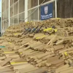 Policia apreende 48 toneladas de maconha  escondida na comunidade da Maré