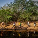 Biodiversidade em ação: projetos de conservação unem ciência e comunidade no Brasil
