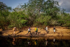 Biodiversidade em ação: projetos de conservação unem ciência e comunidade no Brasil