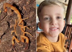 Dor, denúncia e revolta: pai aponta falhas após morte de menino picado por escorpião em Conchal