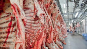 Brasil reage à retirada de autorização para exportação de produtos animais à União Europeia
