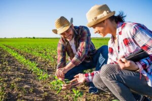 Com PAA, renda de agricultores familiares cresce até 30% e dependência do CadÚnico chega a cair 57%