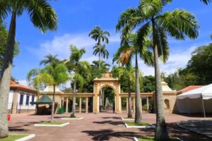 BioParque do Rio promove visitação exclusiva para pessoas do espectro autista durante Sessão Azul