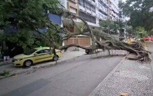 Vendaval deixa rastro de destruição no Rio, provoca duas mortes e reacende debate sobre eventos climáticos extremos