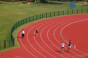 Brasil ganha a primeira Universidade Federal do Esporte