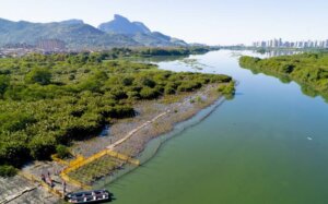 Rio cria nova Área de Proteção Ambiental para preservar as Lagoas de Jacarepaguá