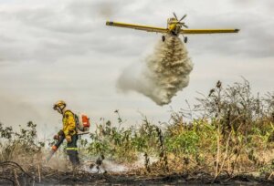 Ministério do Meio Ambiente alerta para alto risco de incêndios florestais entre agosto e outubro