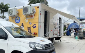 Bem-Estar Animal levará cuidados gratuitos para cães e gatos