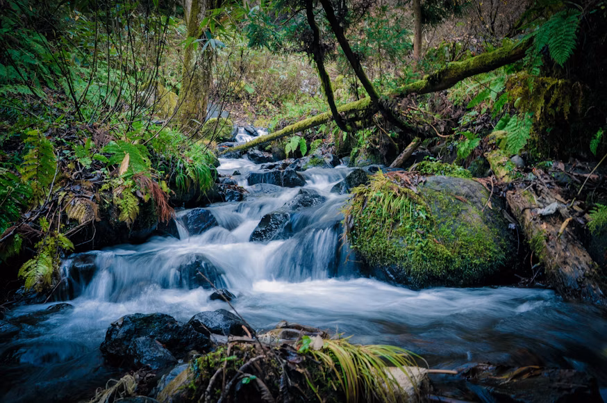 Foto: Unsplash