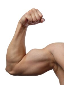 Braços fortes são a nova tendência de beleza e conquistam o lugar da barriga de tanquinho