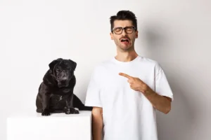 Afeto e mimos em excesso podem gerar dependência emocional nos pets