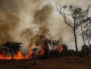 Queimadas no Amazonas quase quadruplicam em setembro e fumaça preocupa moradores de Manaus